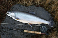 images_hlidarvatn efi 4mai2013