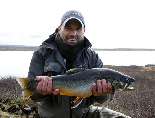 Hlíðarvatn í Selvogi – almenn sala hafinn á Árbliksdögum