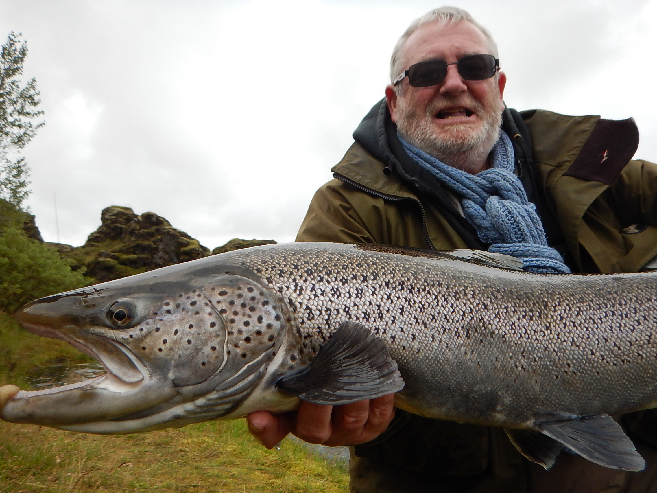 Sea trout fishing in Iceland