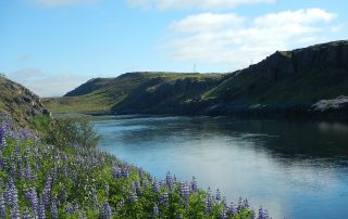 Norðurá - Kálfhylsbrotið