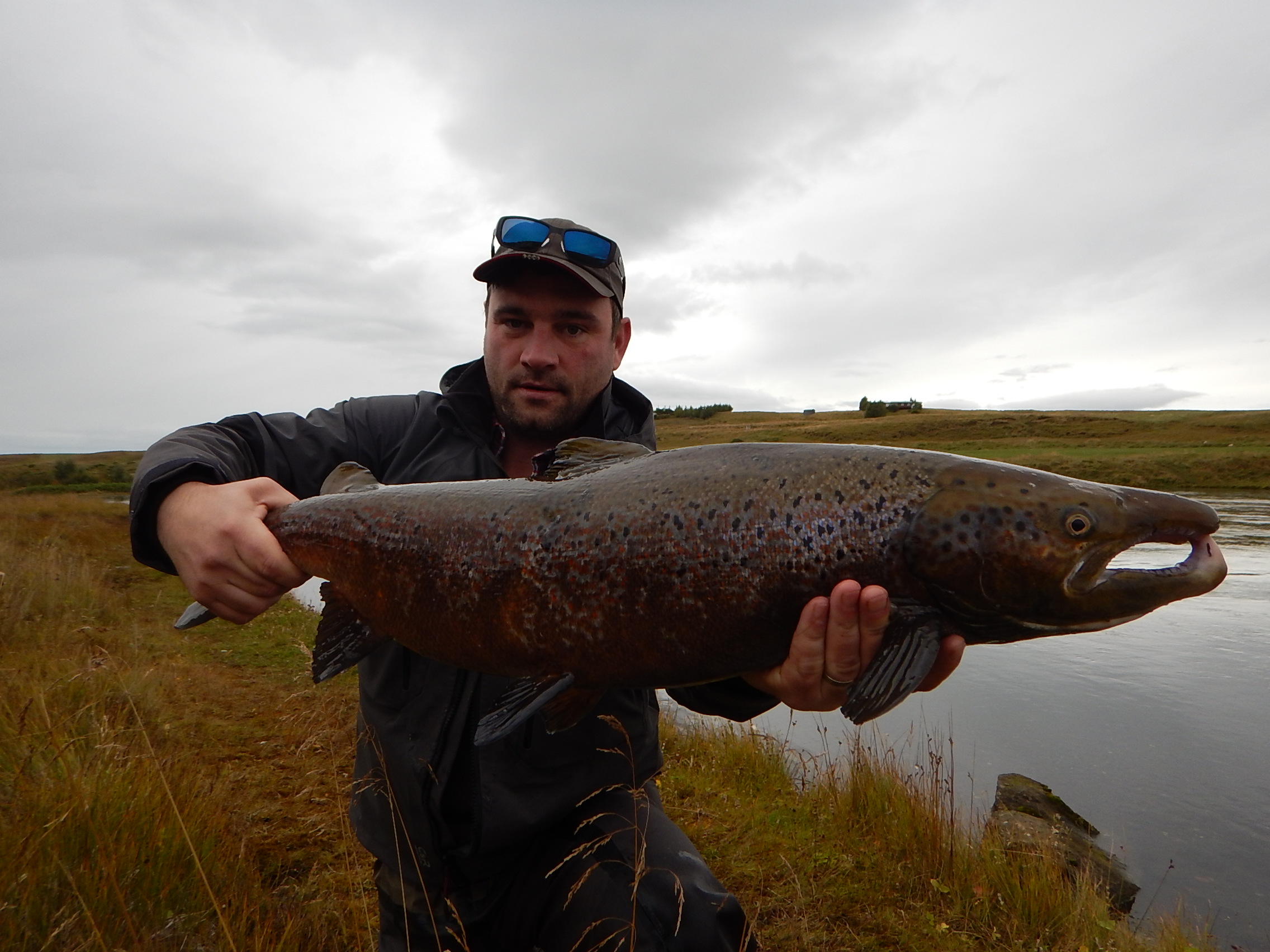 Lax af jónsbreiðu frá því í haust