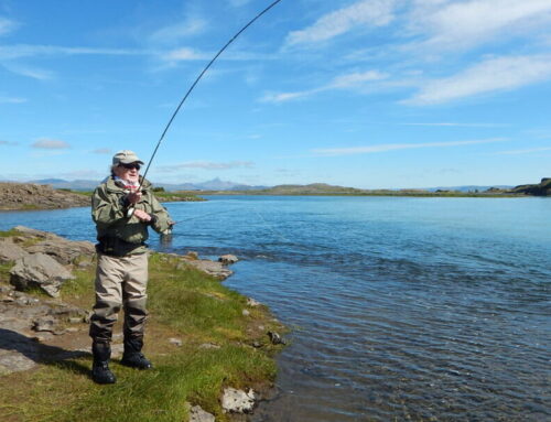 Straumar og Brennan – veiðileyfin komin á vefinn