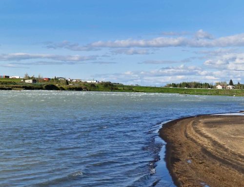 Ölfusá við Selfoss – Vorveiðileyfin komin á vefinn