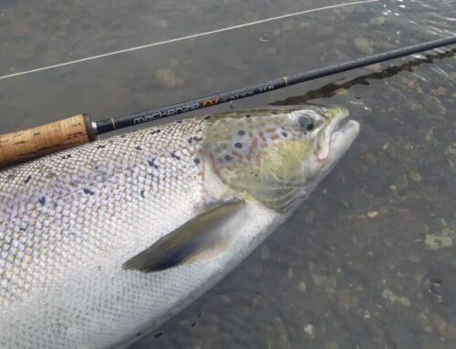 Fossá í Þjórsárdal – Veiðileyfin fyrir sumarið og haustið eru hérna