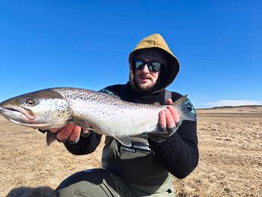 438221139_1428468987772505_1335612188464514807_n