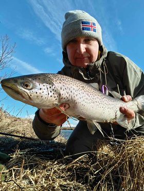 438246265_445282487977212_2532927345099778053_n