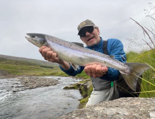 Hvolsá og Staðarhólsá – bókanir fyrir 2026