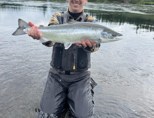 Bíldsfell, Sog – lausir dagar og holl. Stakir dagar í júní