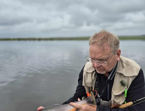 Brúará, Skálholt – fín veiði undanfarið
