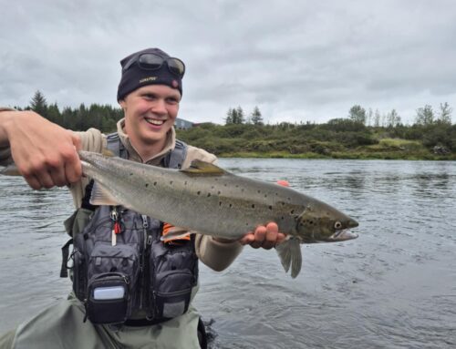 Veiðifréttir – Sog – Alviðra