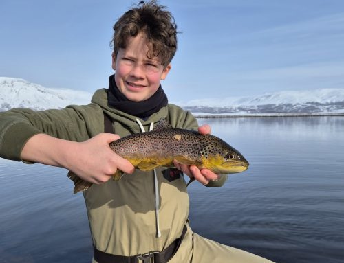Hólaá, Útey – góð veiði 1. apríl
