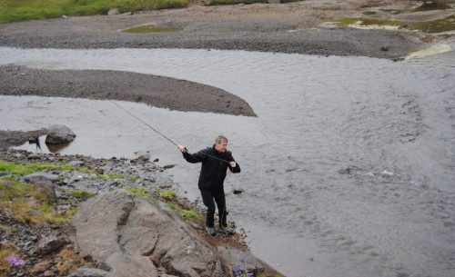 Móra á Barðaströnd