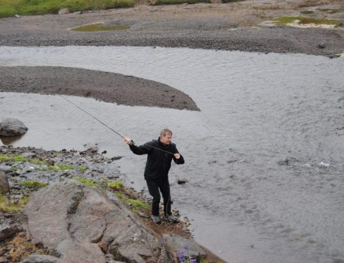 Móra á Barðaströnd – ný í sölu á veiða.is