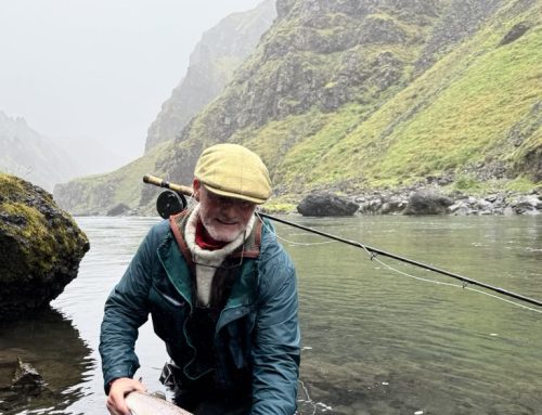 Laxveiðivertíðin er hafin – svæðin í sölu á veiða.is