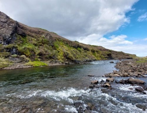 Fáskrúð í Dölum – Laus holl
