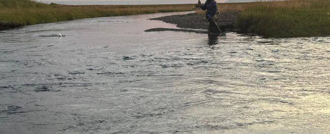 Laxá í miklaholts