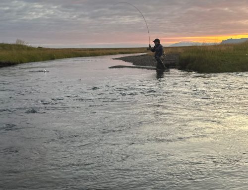 Laxá í Miklaholtshreppi – Laxveiði á betra verði