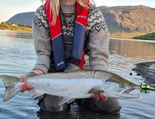 Bíldsfell, Sogið – veiðifréttir og lausar stangir