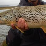 Fishing in Iceland, Anglers.is